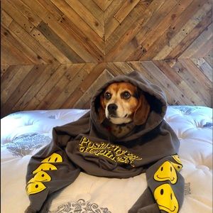 Meet your Posher, Nozomi